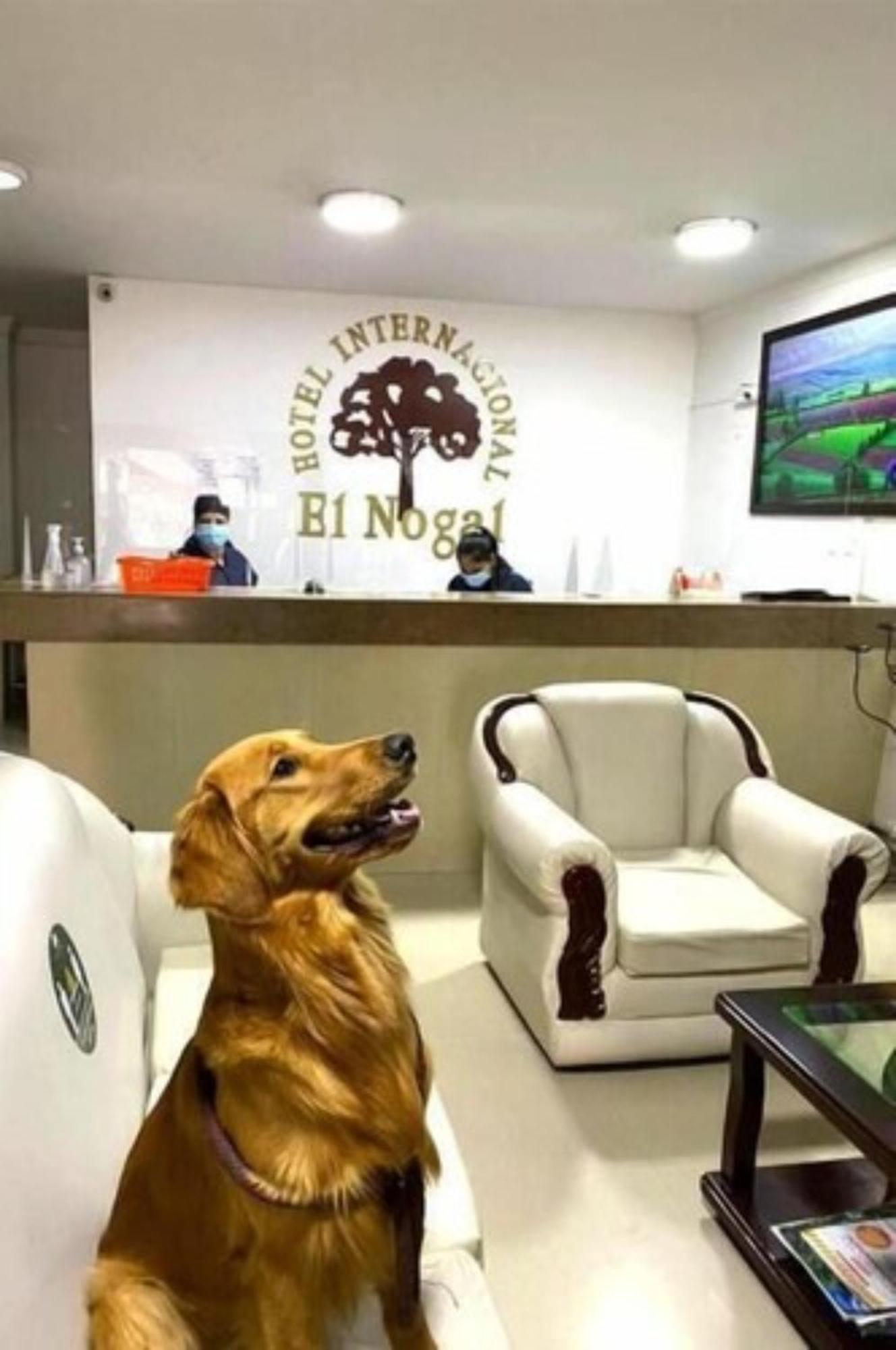 Hotel Internacional El Nogal Ipiales Extérieur photo
